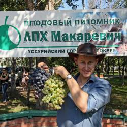Праздник состоялся при поддержке мэрии Владивостока #5