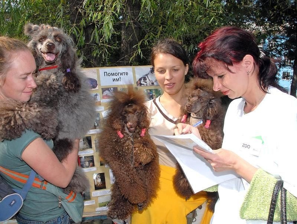 4 октября 2007 г. Владивосток. Люди собирают подписи в защиту животных.